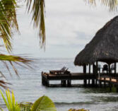 Home, Belize Tropical Dream Villas