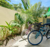 Home, Belize Tropical Dream Villas