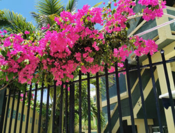 Sea Star Villa, Belize Tropical Dream Villas